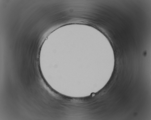 X0000115761379200912241720