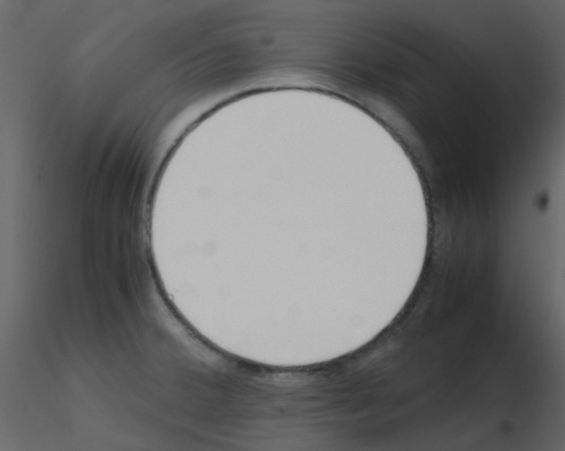 X0000115761380200912241720