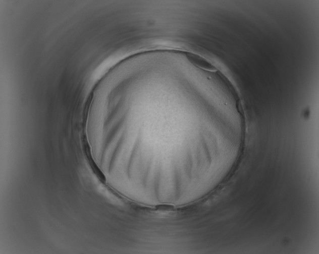 X0000115761381200912241720