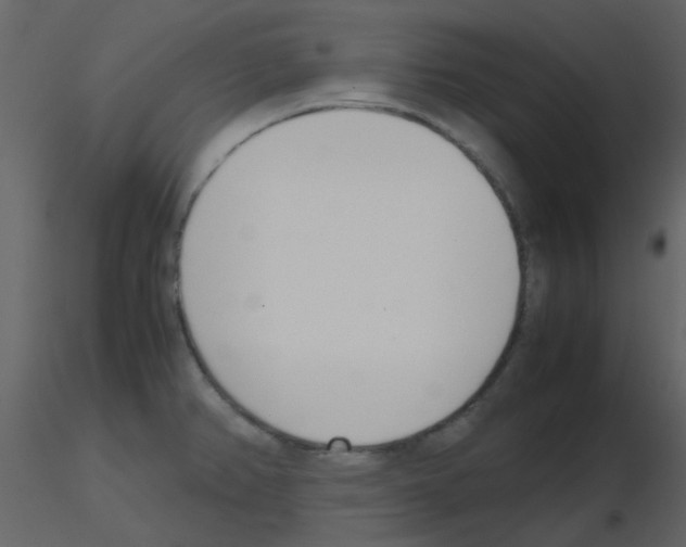 X0000115761382200912241720