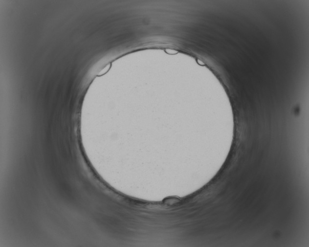 X0000115761383200912241720