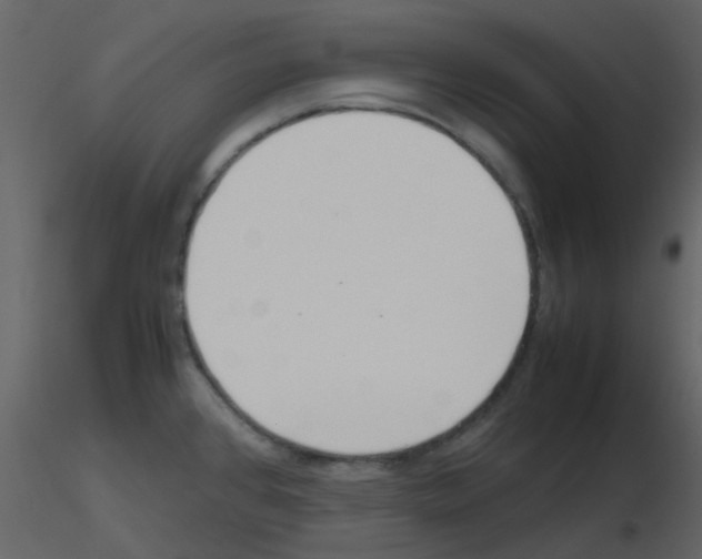 X0000115761384200912241720