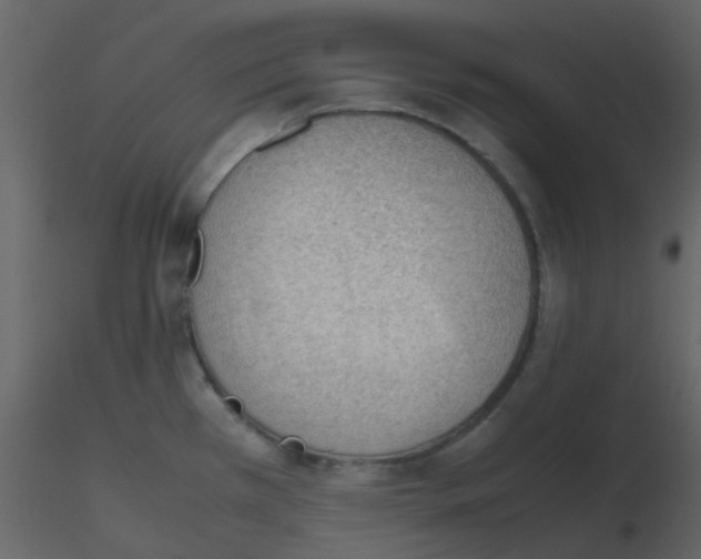X0000115761385200912241720