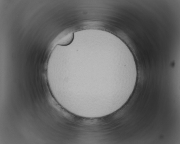 X0000115761386200912241720