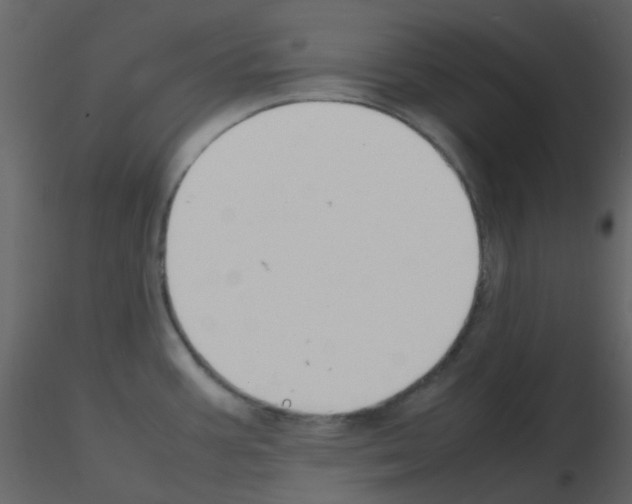 X0000115761387200912241720