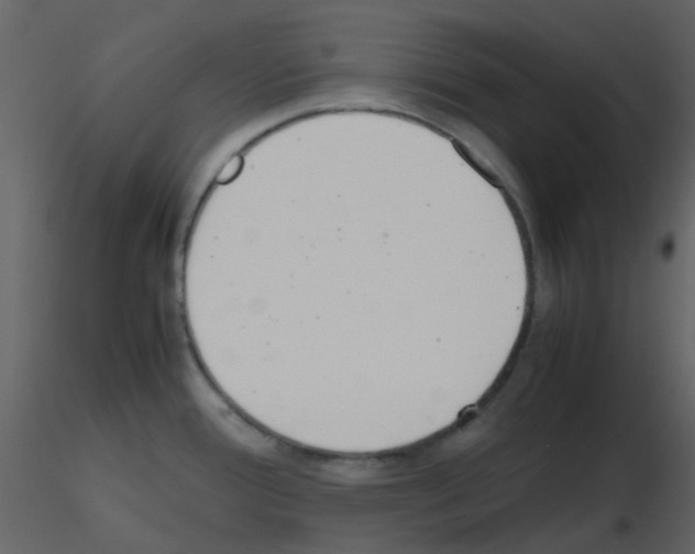 X0000115761388200912241720