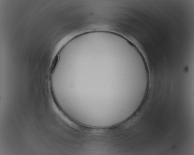 X0000115761389200912241720