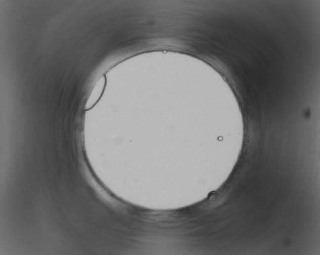 X0000115761391200912241720