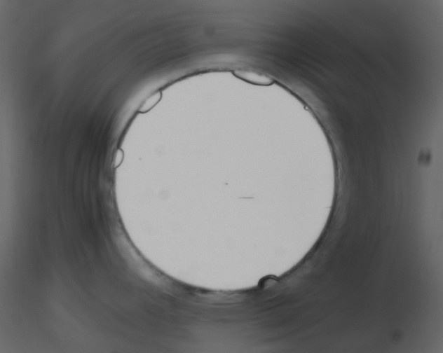 X0000115761392200912241720