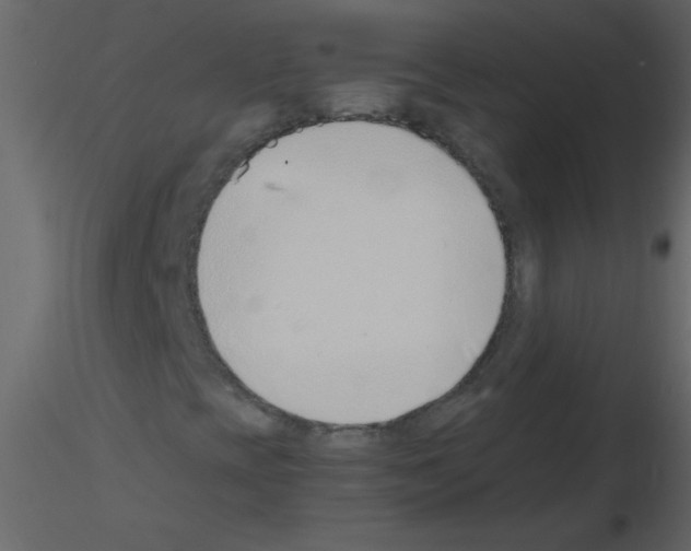 X0000115761393200912241719