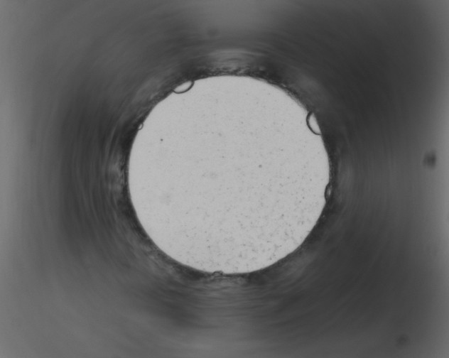 X0000115761394200912241719