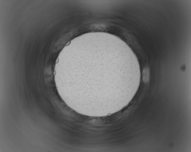 X0000115761395200912241719