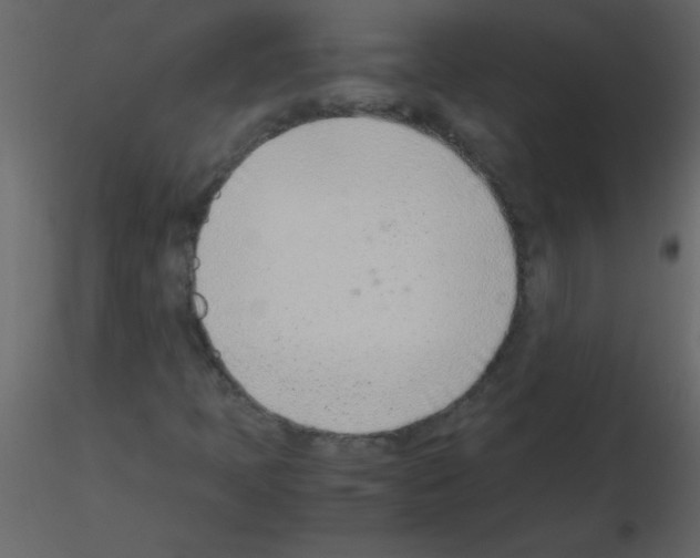 X0000115761397200912241719