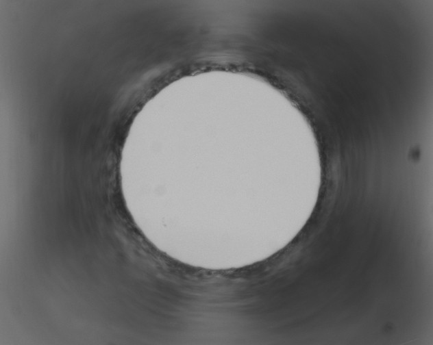 X0000115761398200912241719