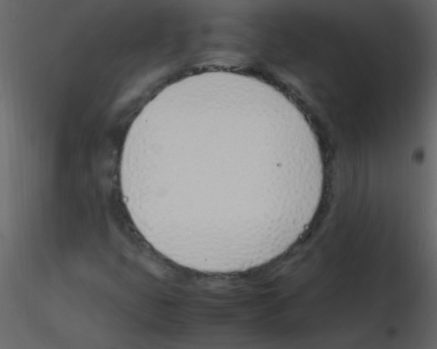 X0000115761399200912241719