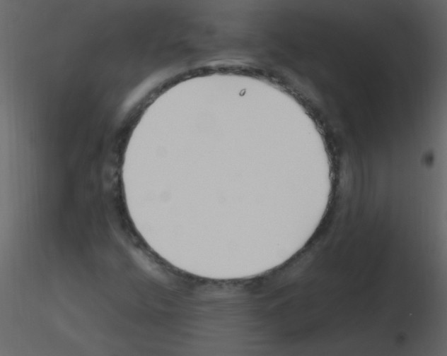 X0000115761400200912241719