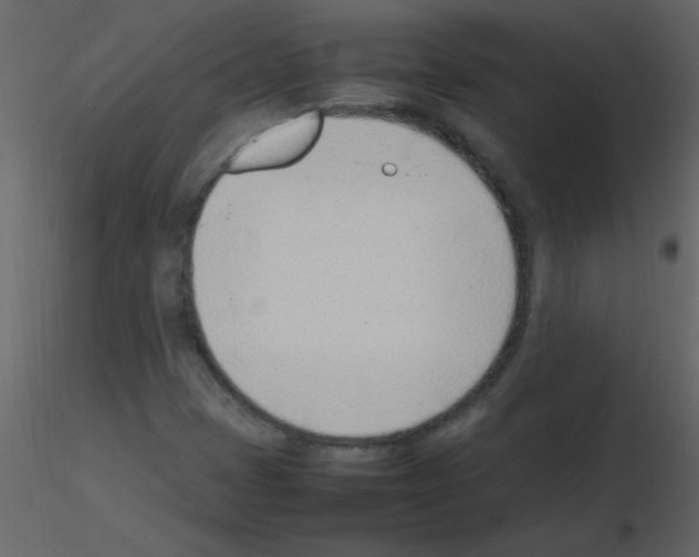 X0000115761401200912241719