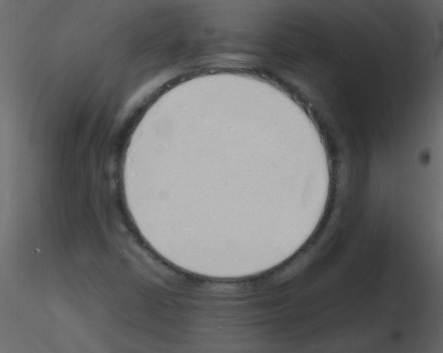 X0000115761402200912241719