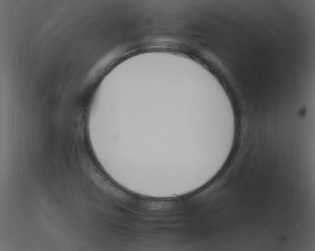 X0000115761403200912241719