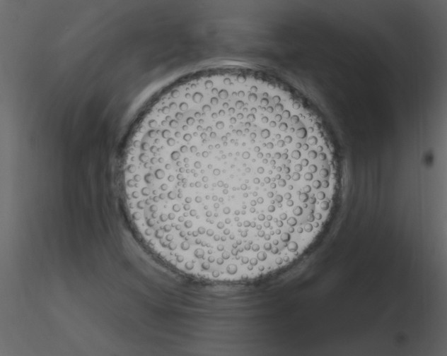 X0000115761404200912241719