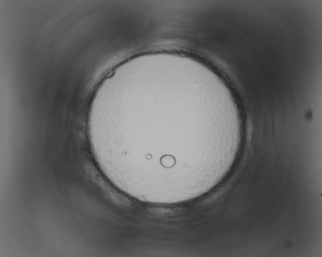 X0000115761405200912241719