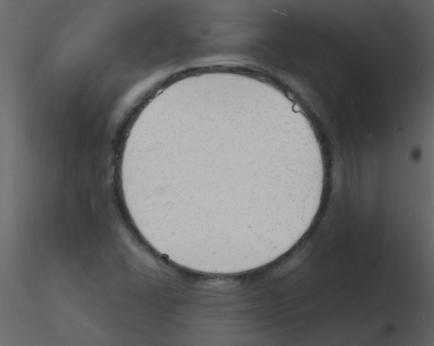 X0000115761406200912241719