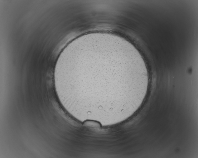 X0000115761409200912241719