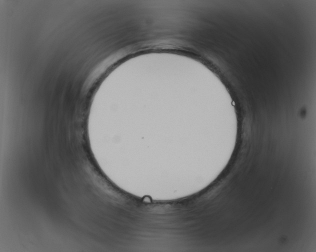X0000115761410200912241719