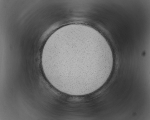 X0000115761411200912241719
