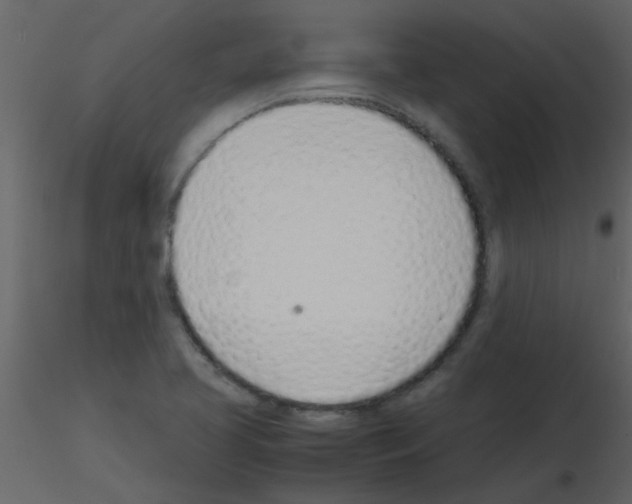 X0000115761413200912241719