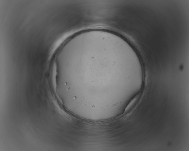 X0000115761414200912241719