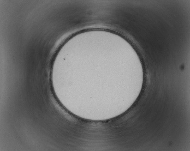 X0000115761416200912241719