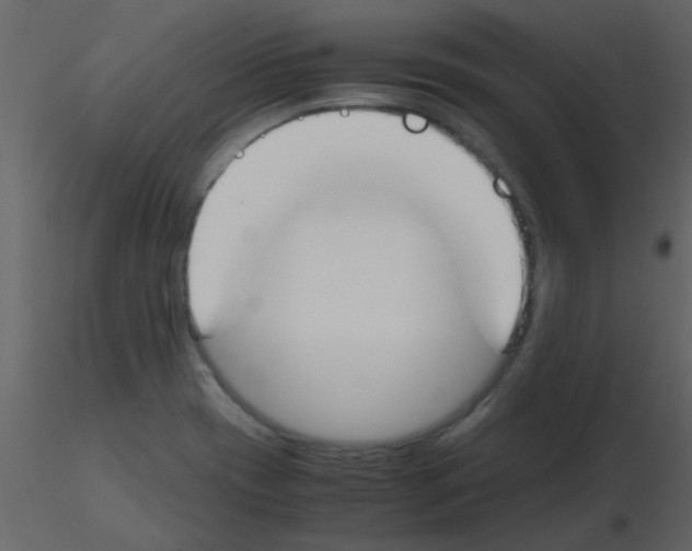 X0000115761417200912241719