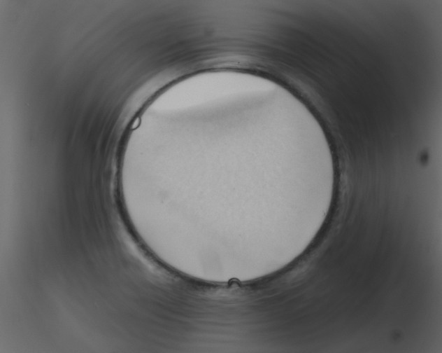 X0000115761418200912241719