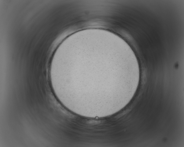 X0000115761419200912241719