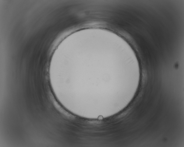 X0000115761421200912241719