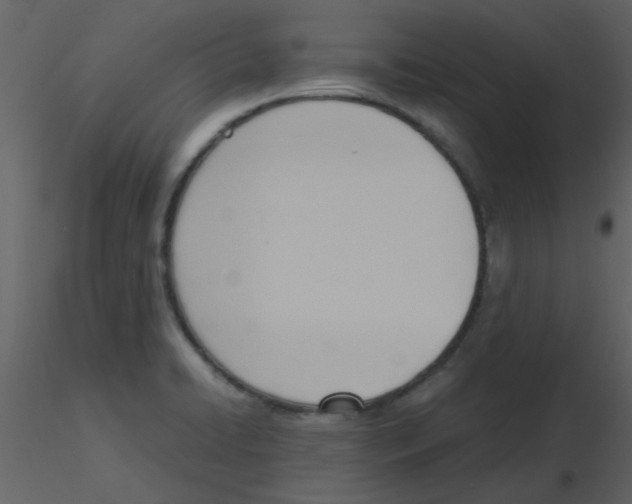 X0000115761422200912241719