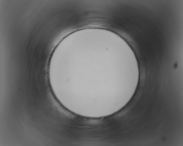 X0000115761423200912241719