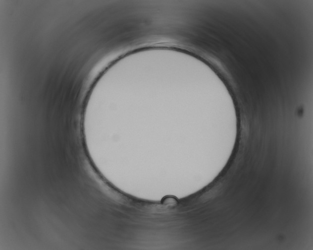 X0000115761424200912241719