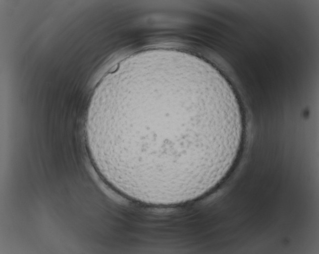 X0000115761425200912241719