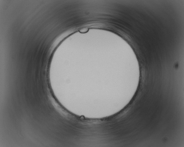X0000115761426200912241719
