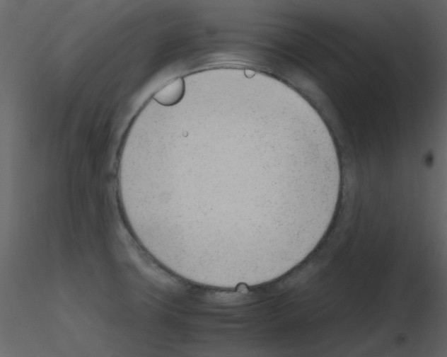 X0000115761427200912241719