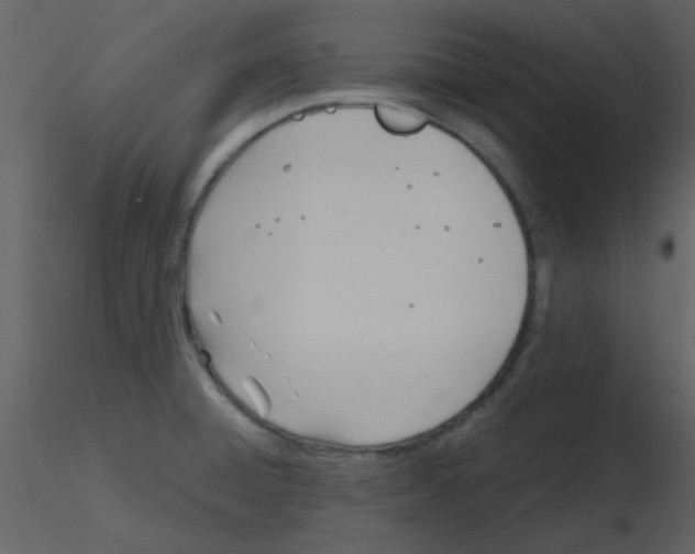 X0000115761428200912241719