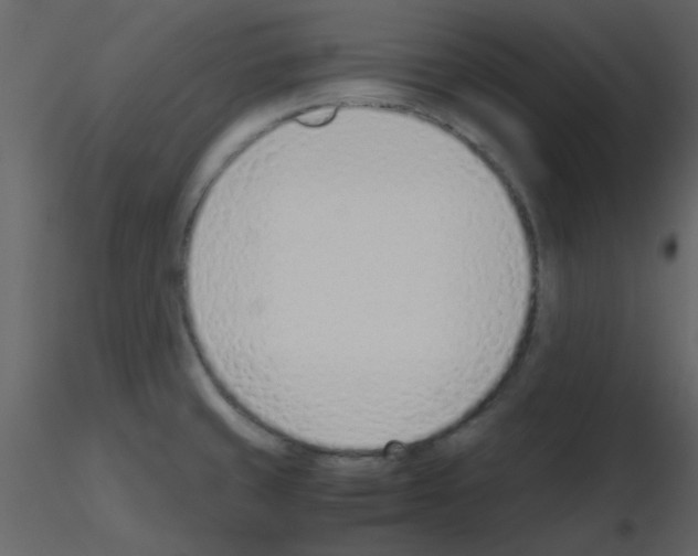 X0000115761429200912241719