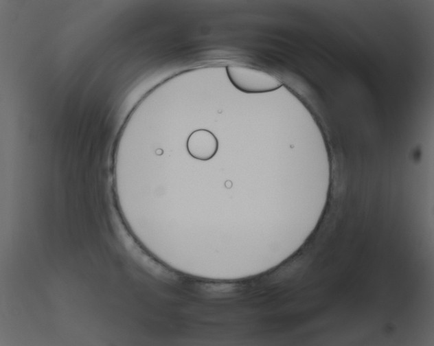 X0000115761431200912241719