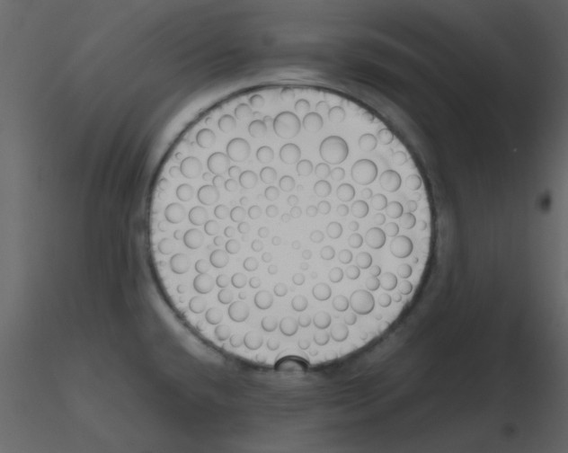 X0000115761432200912241719