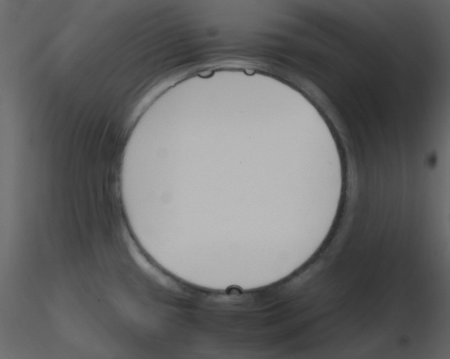 X0000115761433200912241720