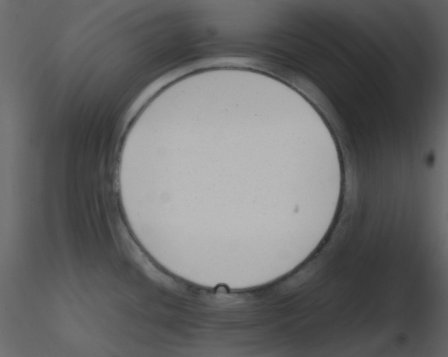 X0000115761436200912241720