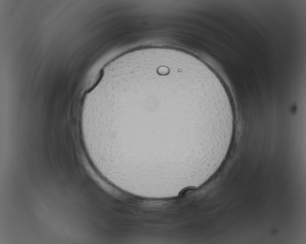 X0000115761437200912241720