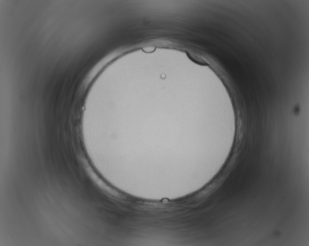 X0000115761438200912241720
